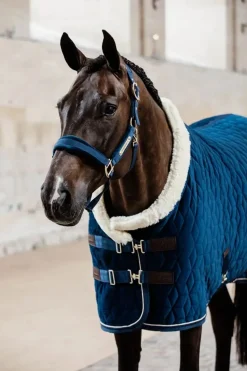 Kentucky Show Rug Velvet - Navy
