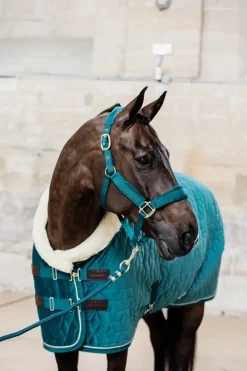 Kentucky Show Rug Velvet - Emerald