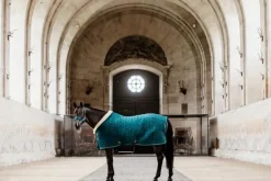 Kentucky Show Rug Velvet - Emerald