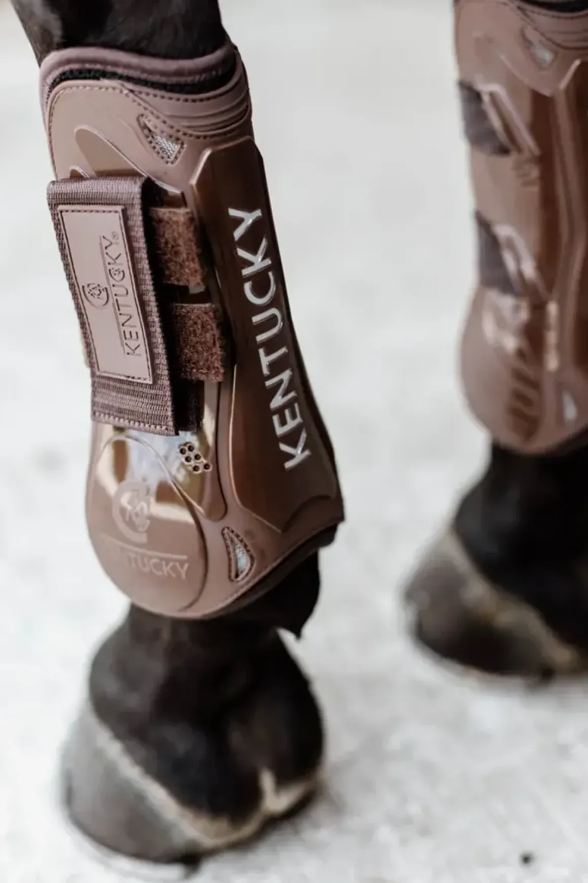 Kentucky Tendon Boots Velcro