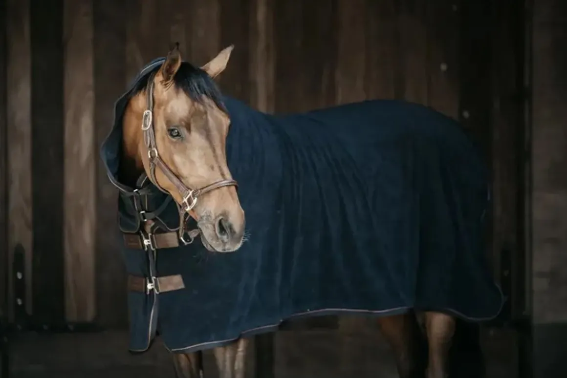 Kentucky Towel Rug