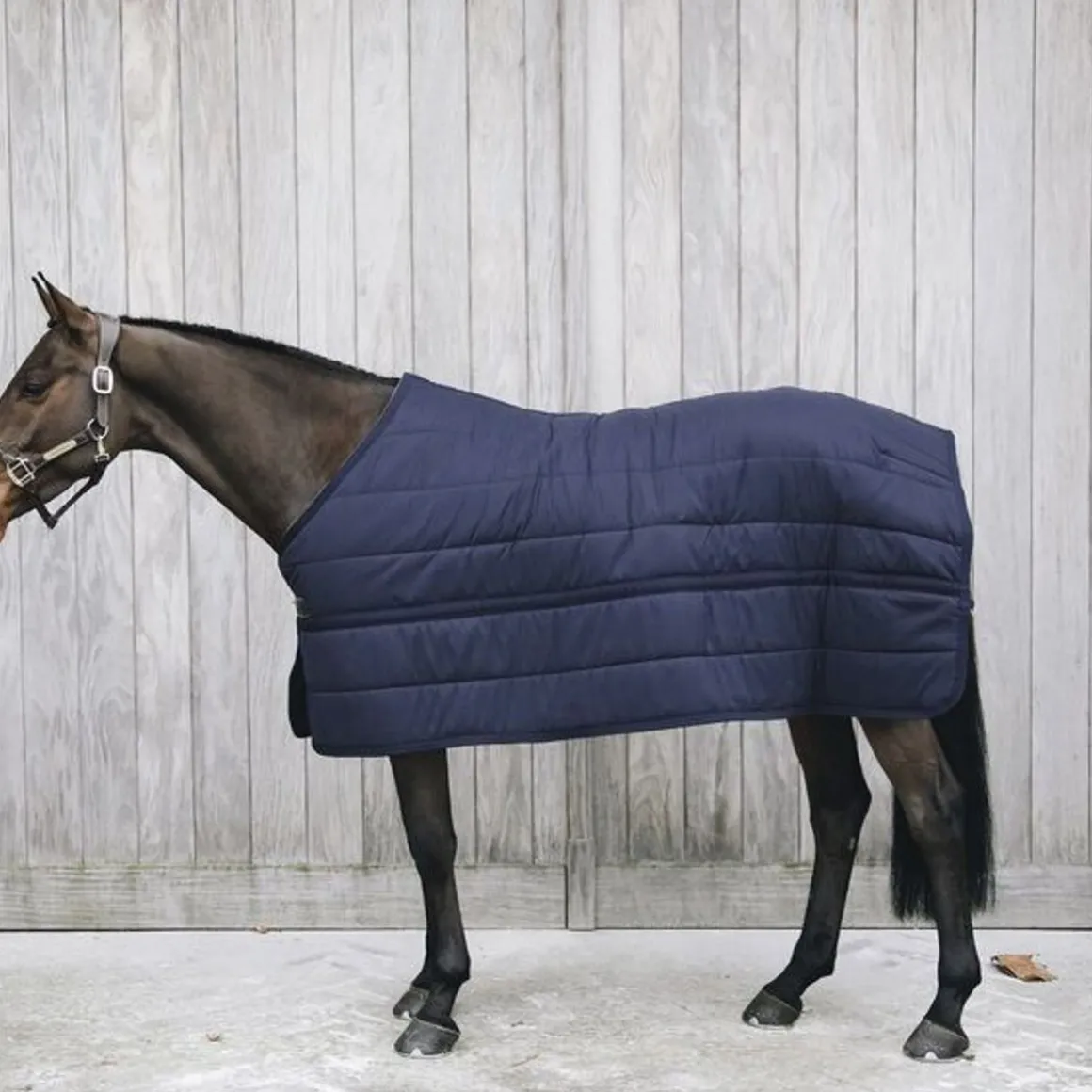 Kentucky Under Rug Skin Friendly 150g