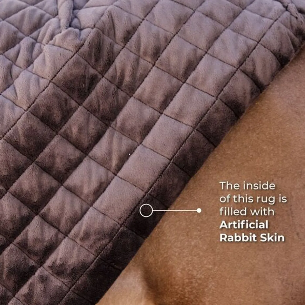 Kentucky Under Rug Skin Friendly 150g