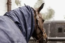 Kentucky Waterproof Scarf