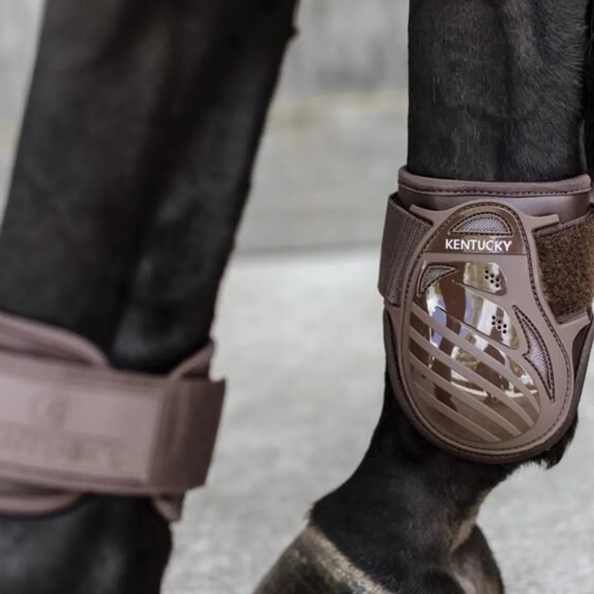 Kentucky Young Horse Fetlock Boots
