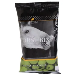 Lincoln Horse Bix