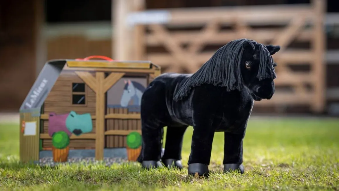 LM Toy Ponni Skye