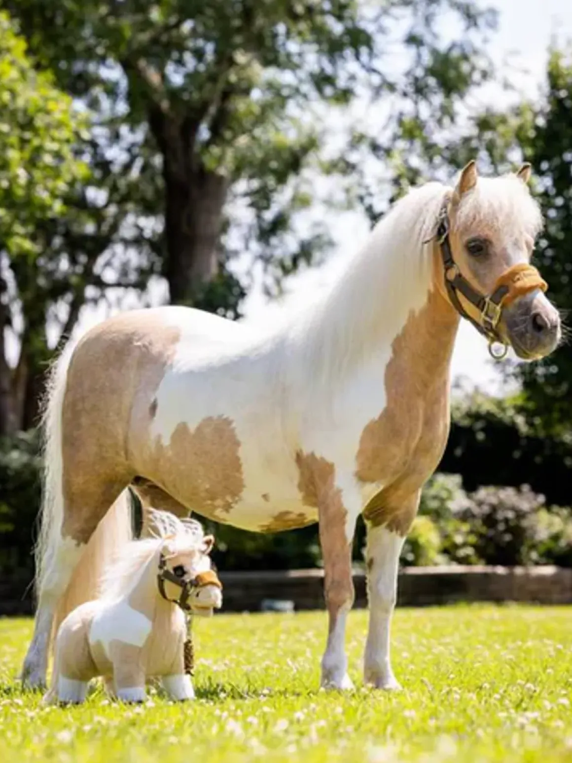 LM Toy Pony Lemon