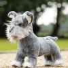 LM Toy Puppy Cooper