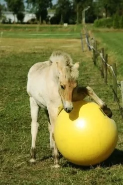 Maximus lekeball 100cm