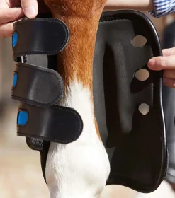 Premier Equine Air Cooled Original Eventing Boots Bak