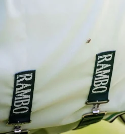 Rambo Hoodie 0gr