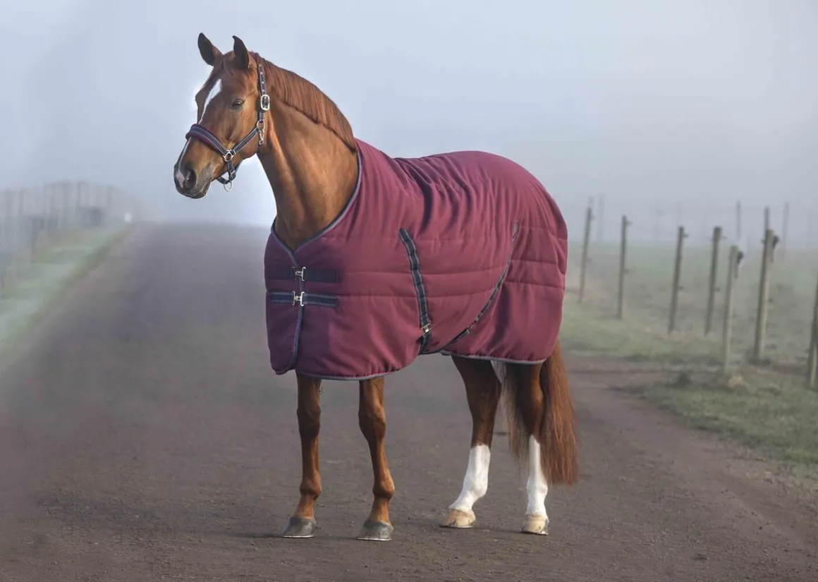 Rambo Stable Rug 100g Embossed/Shiny Lining