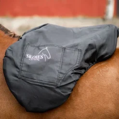 Skoies Saltrekk til sprangsal