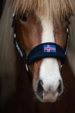 Top Reiter Klaki Grimesett til Islandshest - Iceland