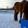 Varmebalje 60 liter inkl. omformer - Blå