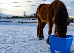 Varmebalje 60 liter inkl. omformer - Blå